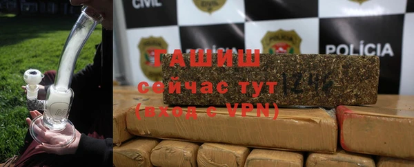 индика Абаза