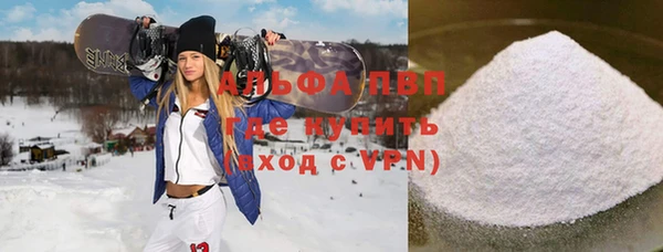 индика Абаза