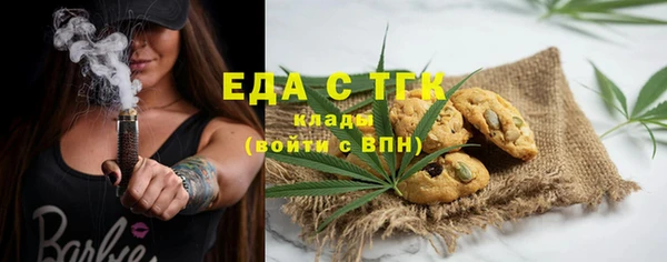 индика Абаза