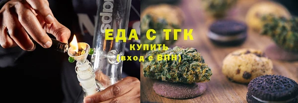 индика Абаза