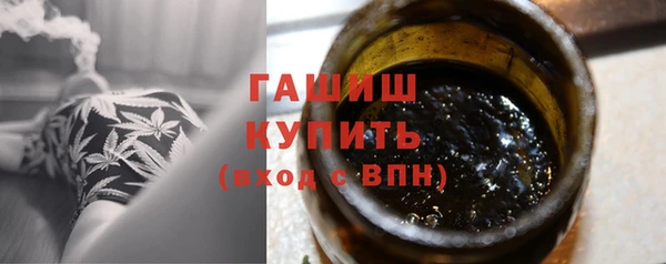 индика Абаза
