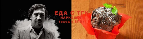 индика Абаза
