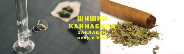 индика Абаза