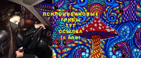 индика Абаза