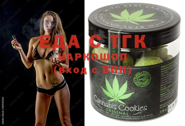 индика Абаза