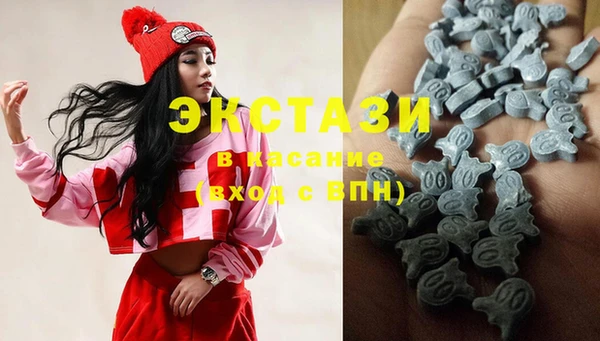 индика Абаза