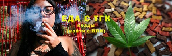 индика Абаза