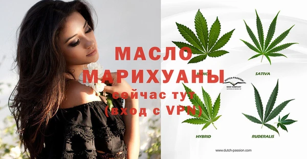 молекула духа Каменногорск