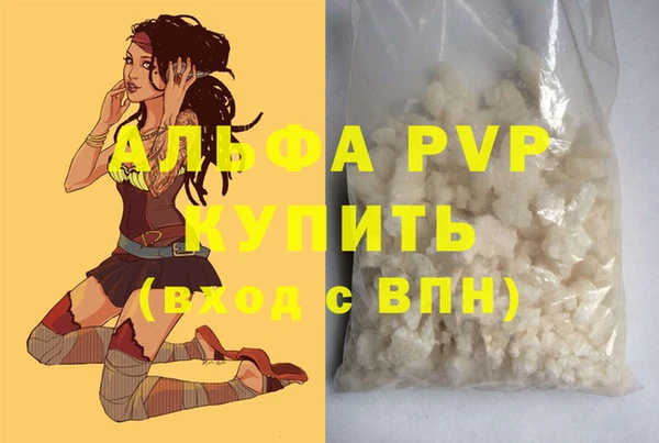 индика Абаза