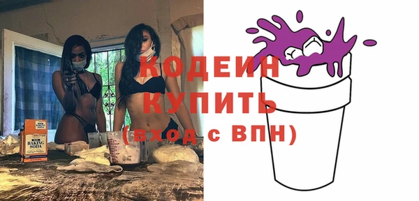 индика Абаза